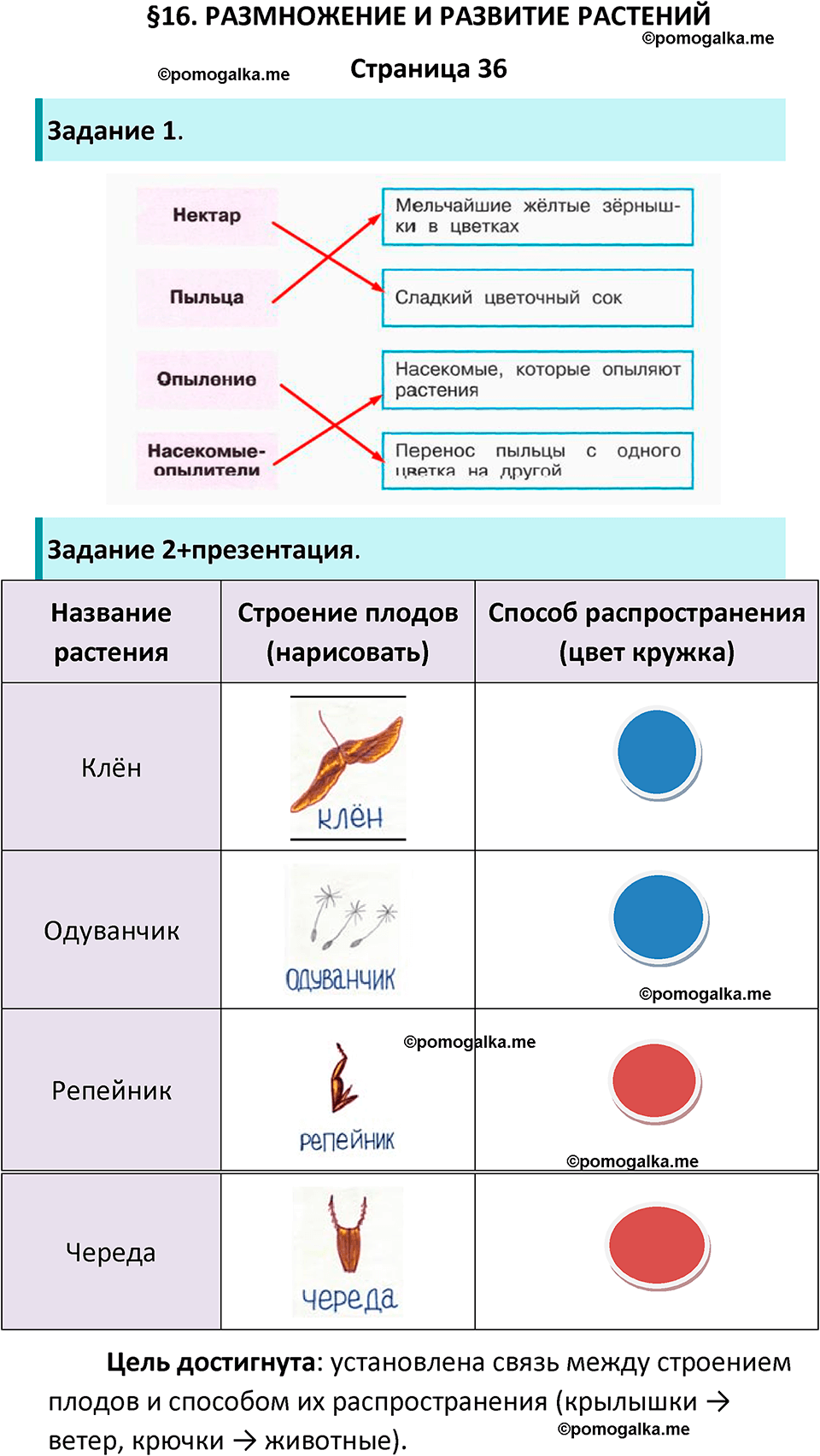 часть 1 страница 36 окружающий мир 3 класс Плешаков рабочая тетрадь 2025 год