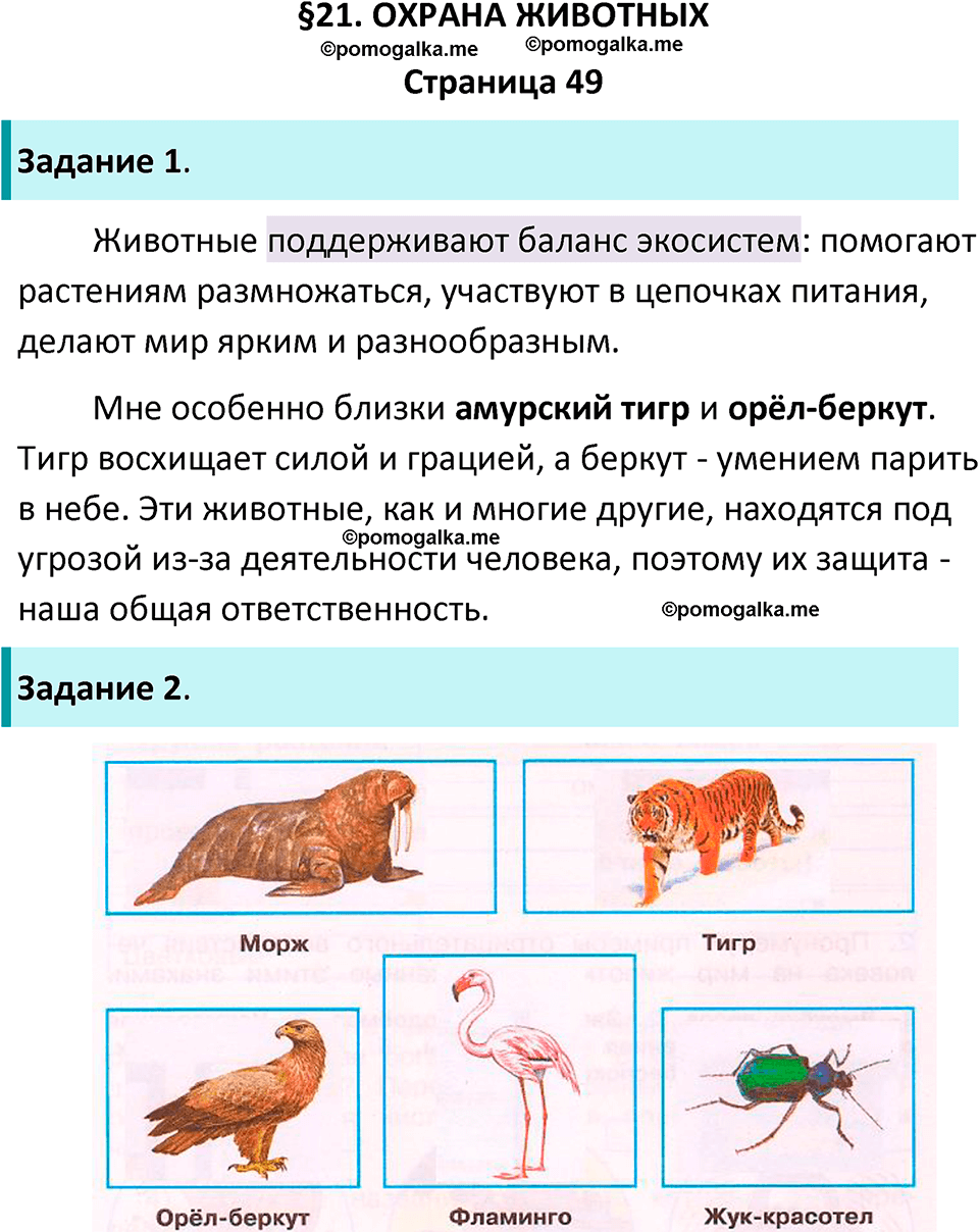 часть 1 страница 49 окружающий мир 3 класс Плешаков рабочая тетрадь 2025 год