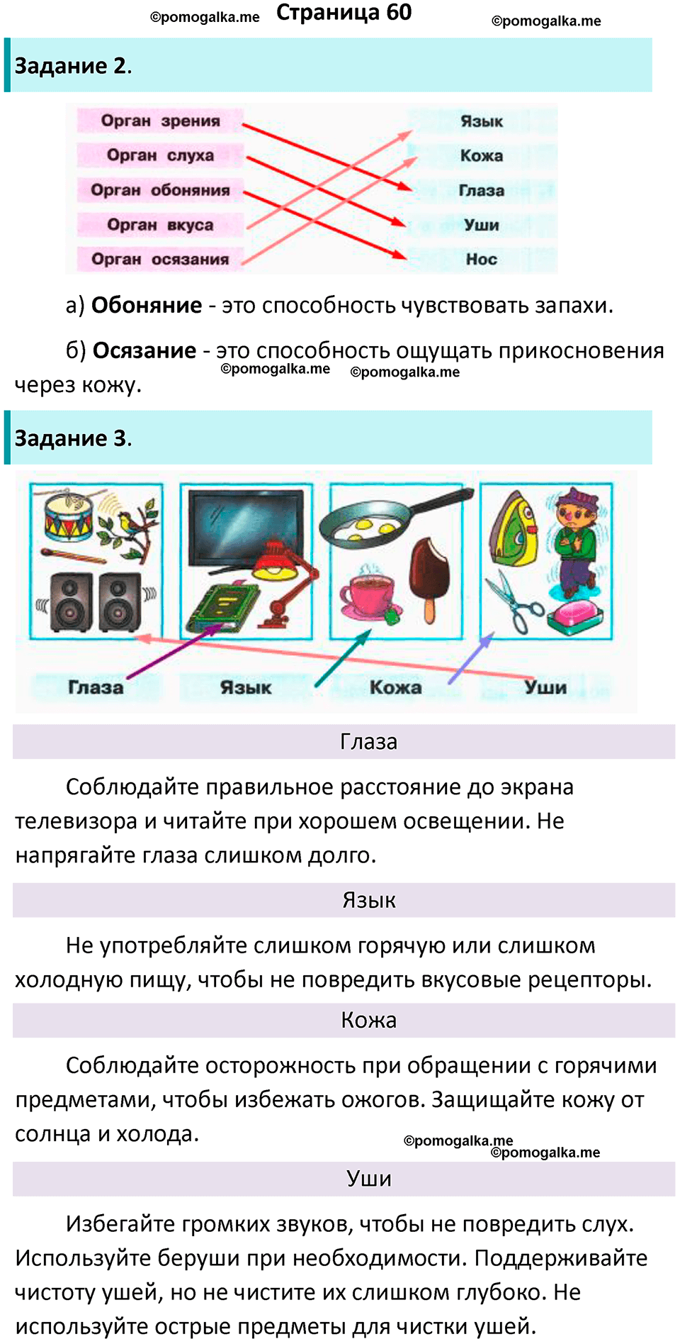 часть 1 страница 60 окружающий мир 3 класс Плешаков рабочая тетрадь 2025 год