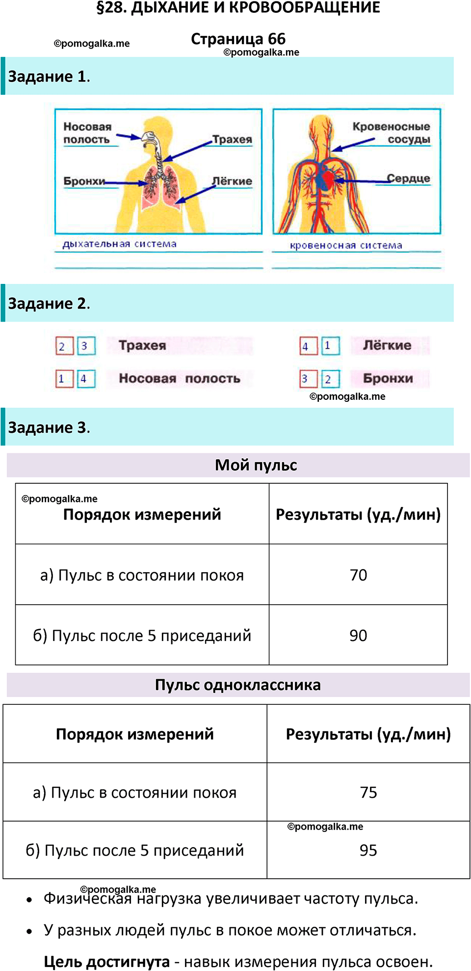 часть 1 страница 66 окружающий мир 3 класс Плешаков рабочая тетрадь 2025 год