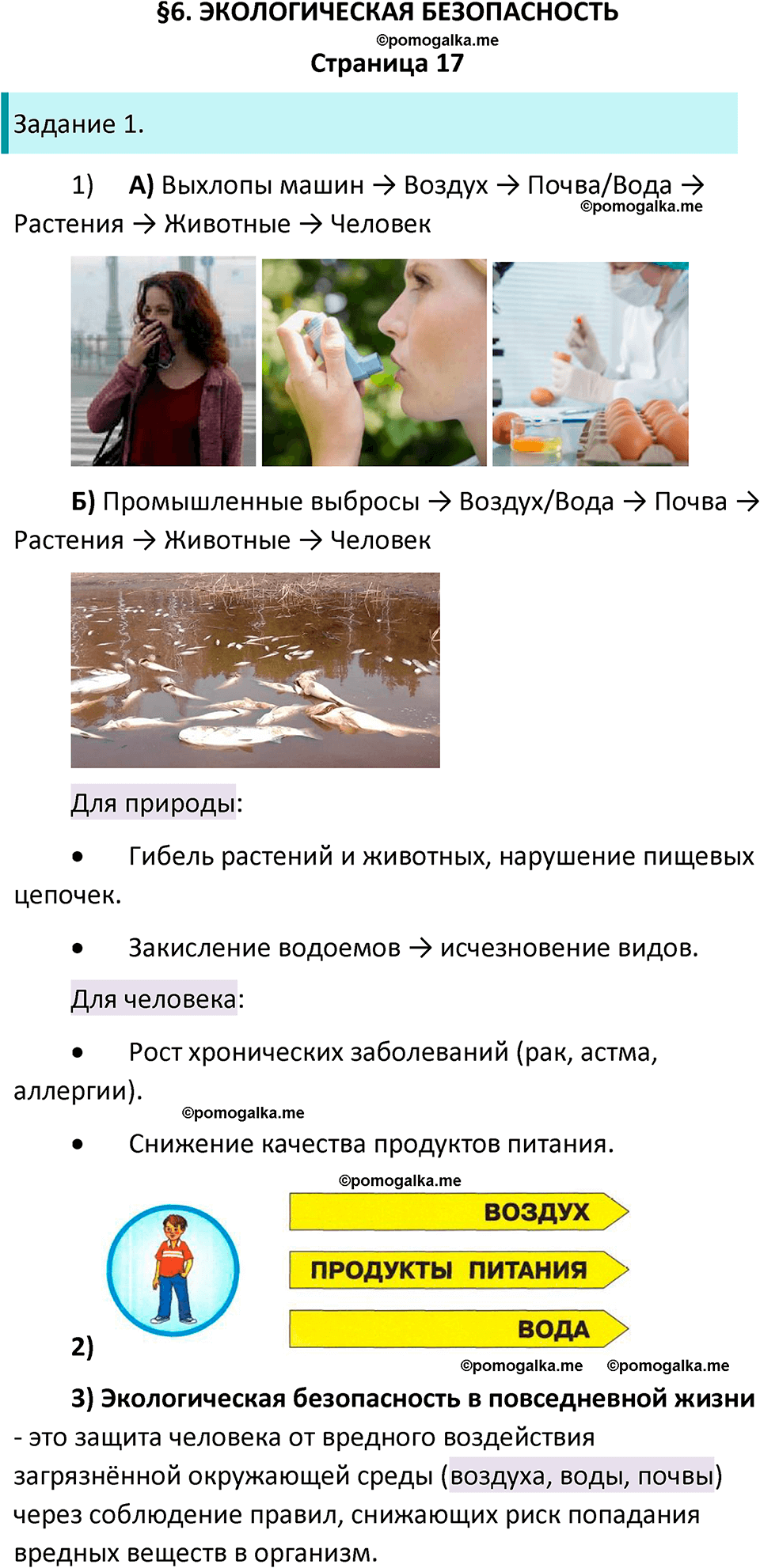 часть 2 страница 17 окружающий мир 3 класс Плешаков рабочая тетрадь 2025 год