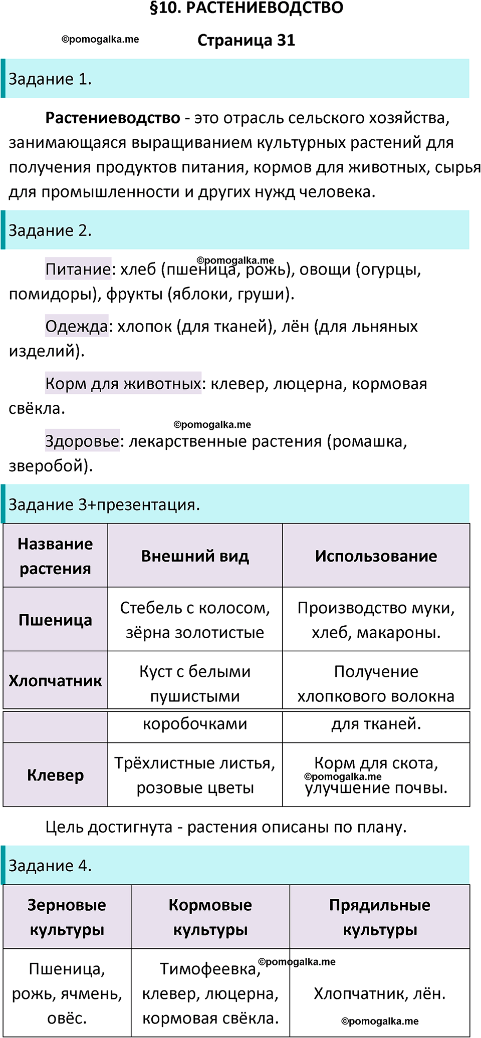 часть 2 страница 31 окружающий мир 3 класс Плешаков рабочая тетрадь 2025 год