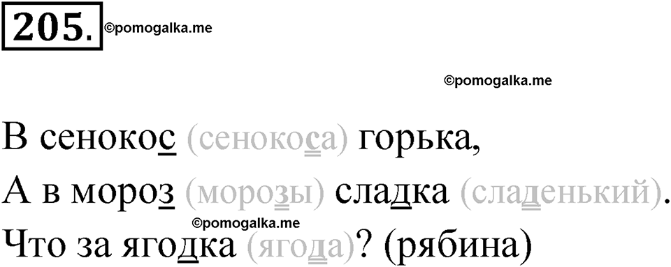 часть 1 упражнение 205 русский язык 3 класс Рамзаева 2025