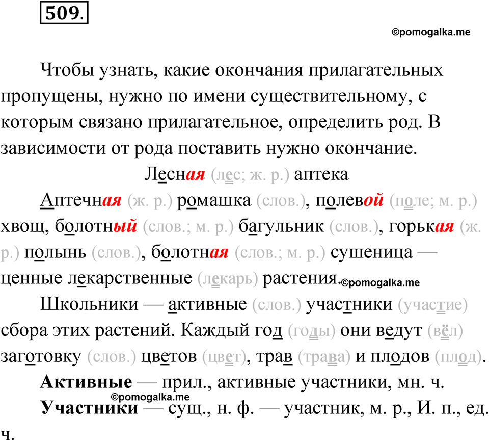 часть 2 упражнение 509 русский язык 3 класс Рамзаева 2025