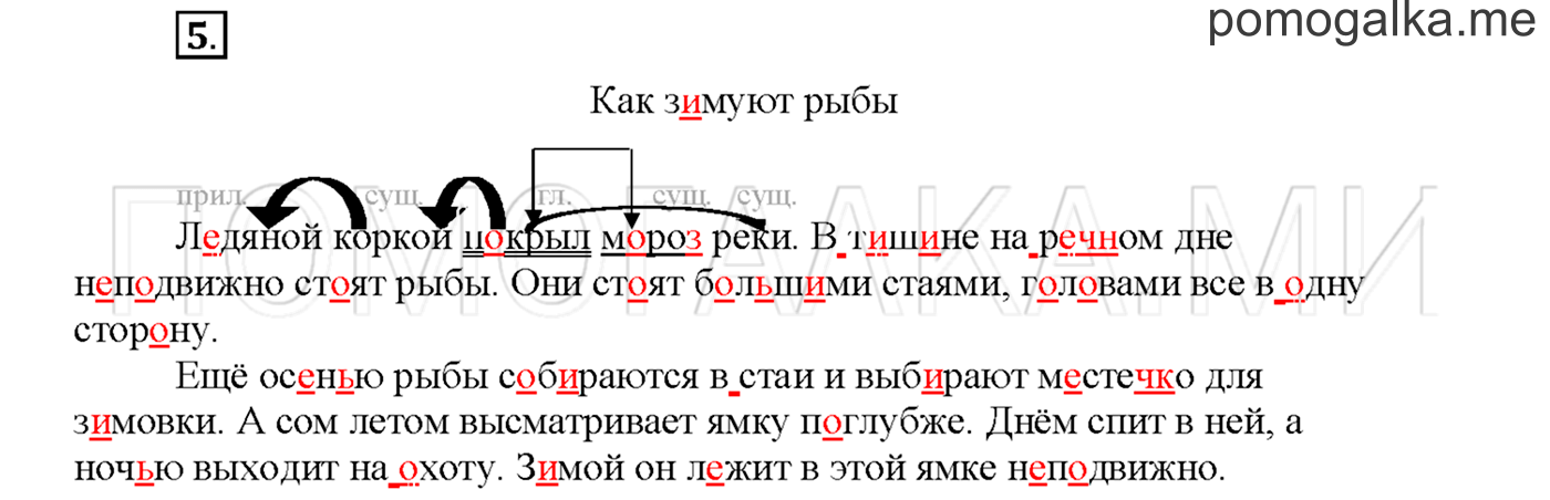 часть 1 страница 83 упражнение 5русский язык 3 класс Желтовская, Калинина 2019 год