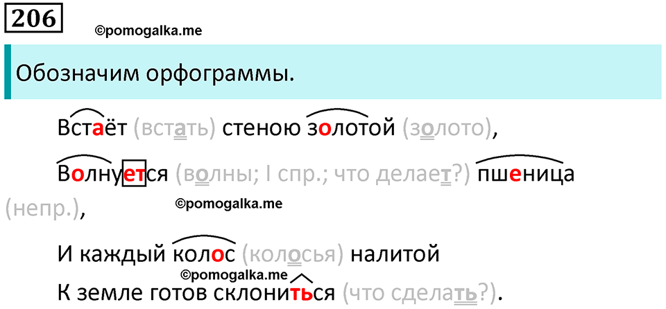 часть 2 упражнение 206 русский язык 4 класс Канакина 2023 год