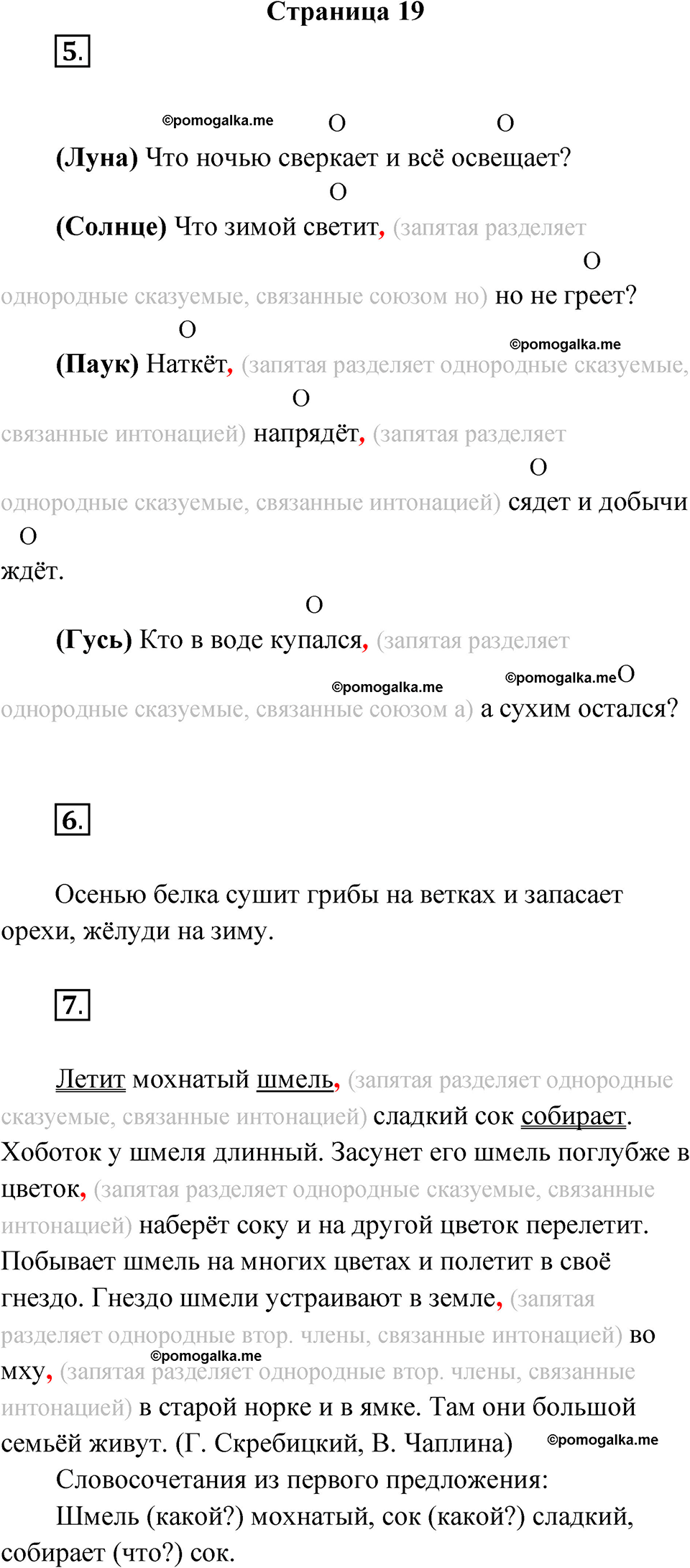 страница 19 русский язык 4 класс Канакина проверочные работы 2024 год