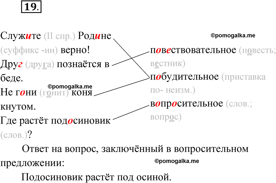 часть 1 упражнение 19 русский язык 4 класс Канакина рабочая тетрадь 2023 год
