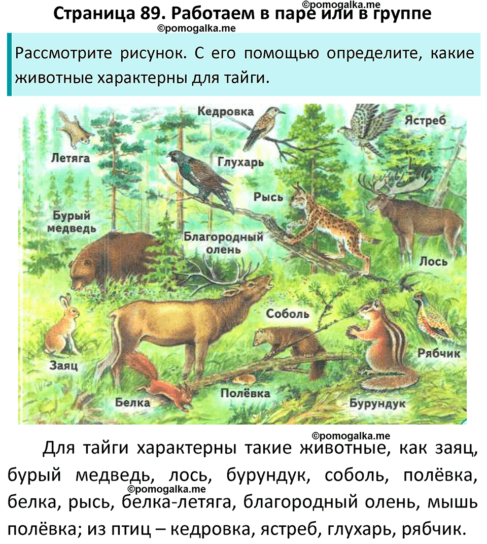 часть 1 страница 89 окружающий мир 4 класс Плешаков, Новицкая учебник 2022 год