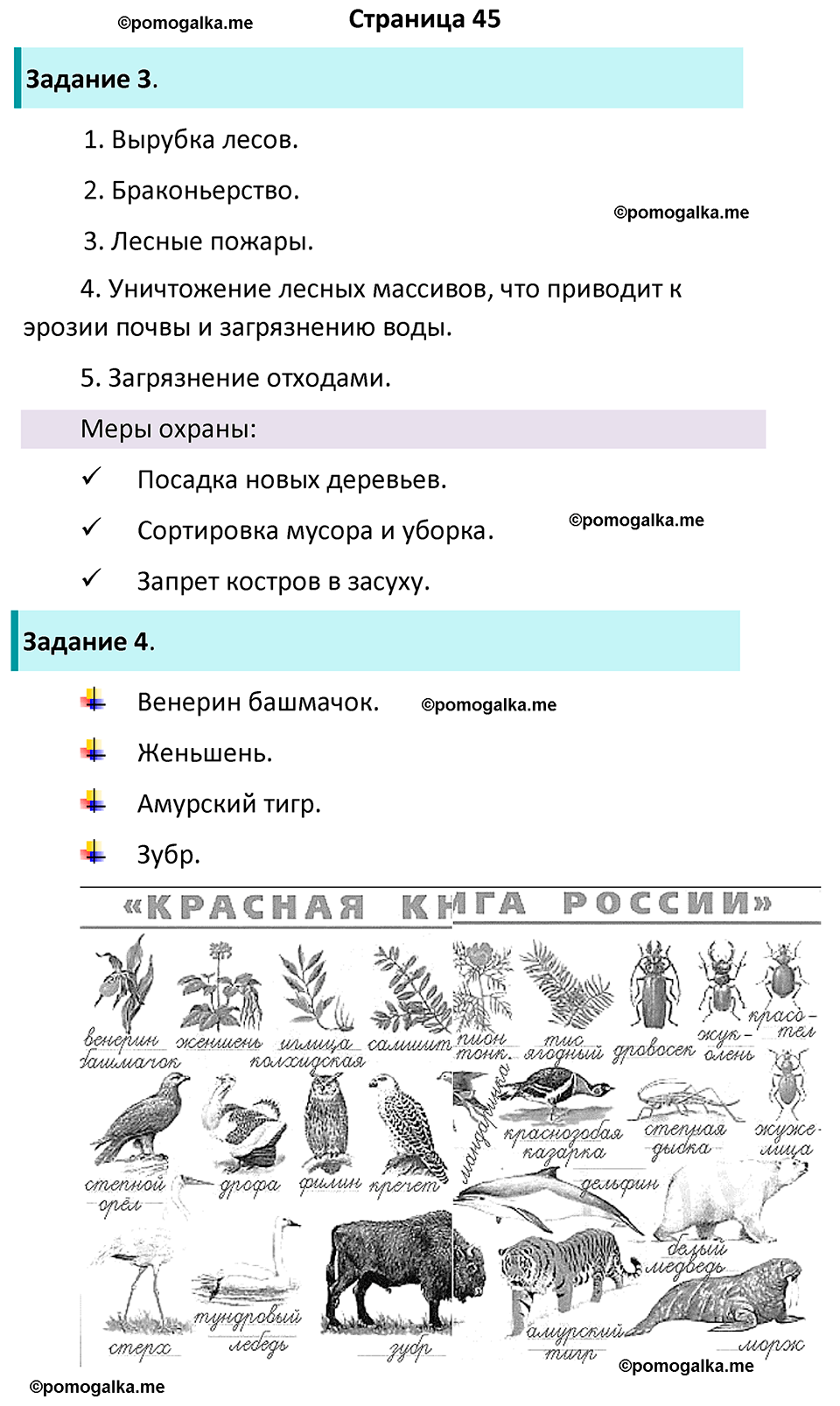 часть 1 страница 45 окружающий мир 4 класс Плешаков рабочая тетрадь 2024 год