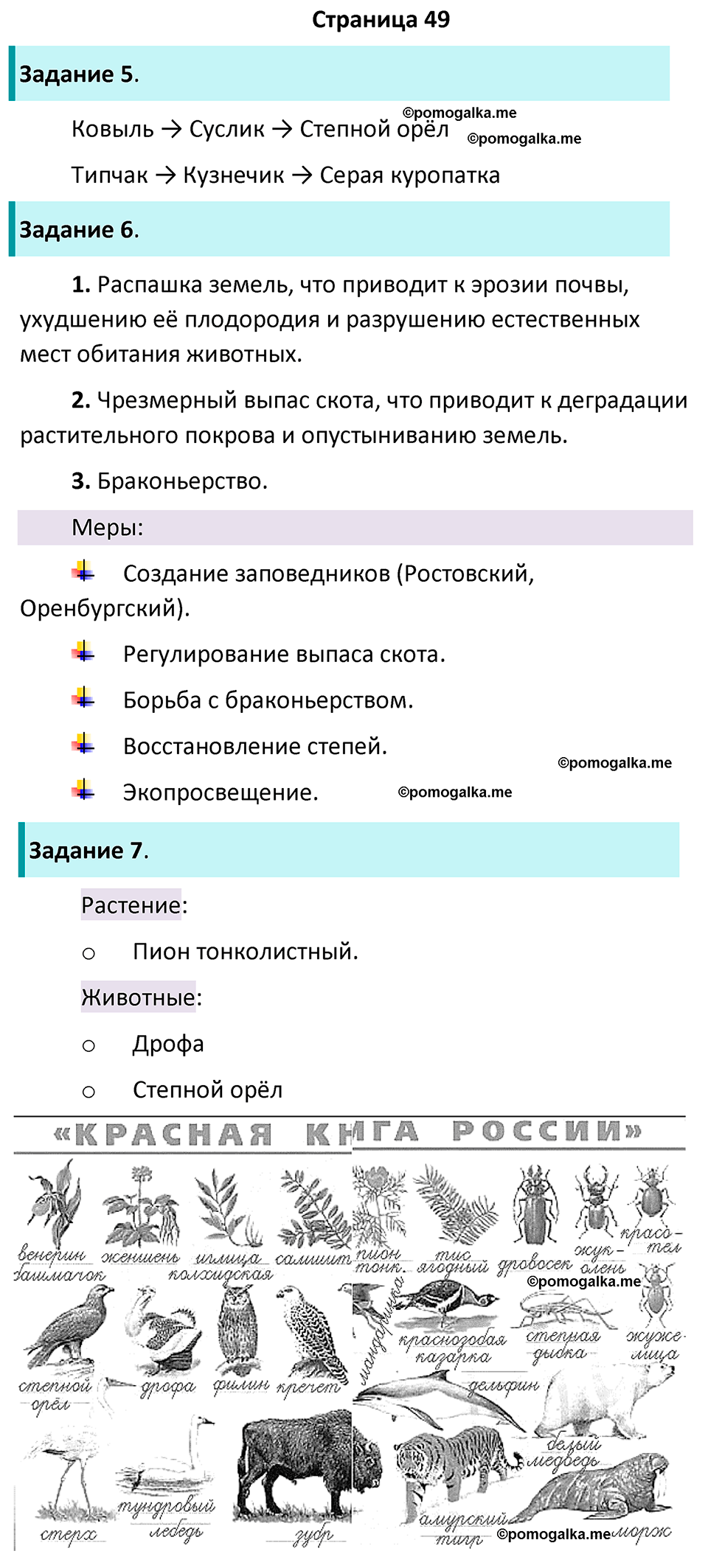часть 1 страница 49 окружающий мир 4 класс Плешаков рабочая тетрадь 2024 год