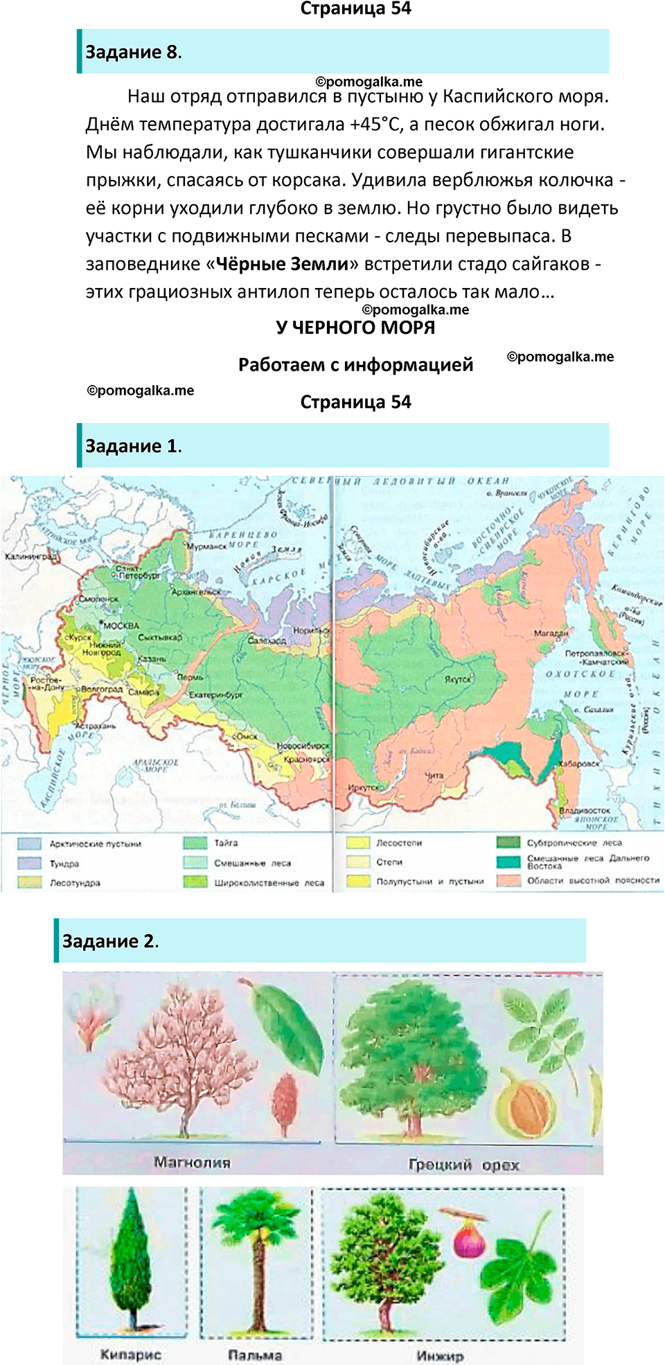 часть 1 страница 54 окружающий мир 4 класс Плешаков рабочая тетрадь 2024 год