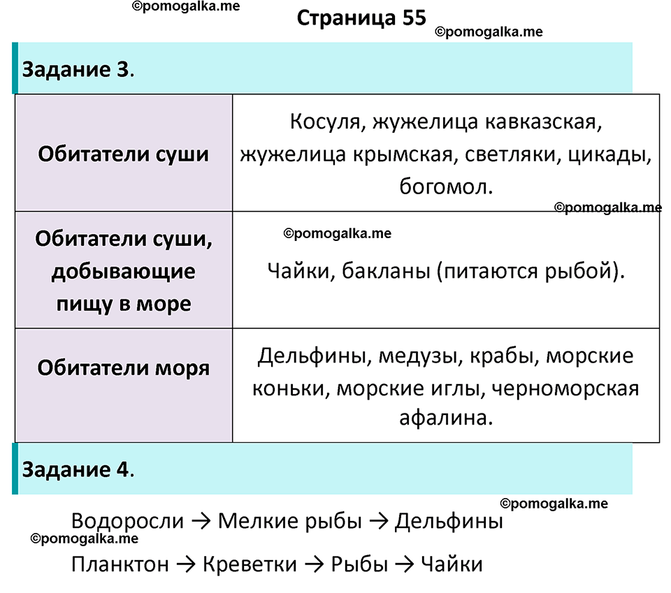 часть 1 страница 55 окружающий мир 4 класс Плешаков рабочая тетрадь 2024 год