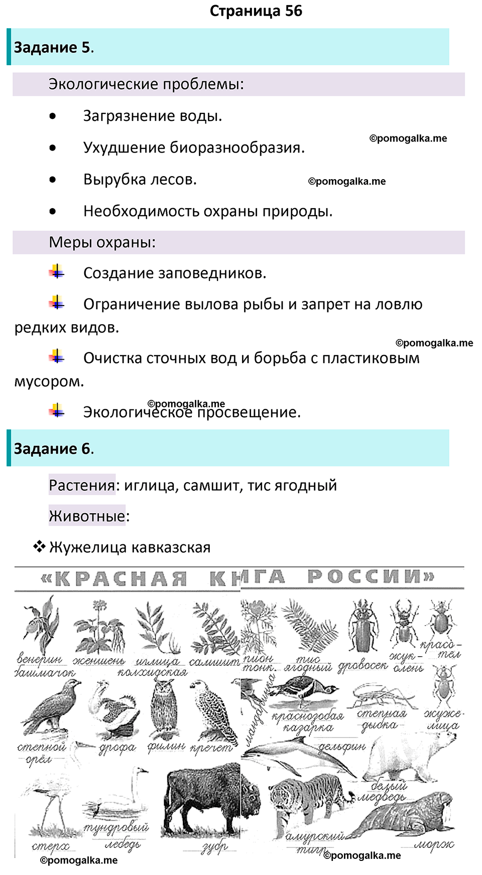 часть 1 страница 56 окружающий мир 4 класс Плешаков рабочая тетрадь 2024 год