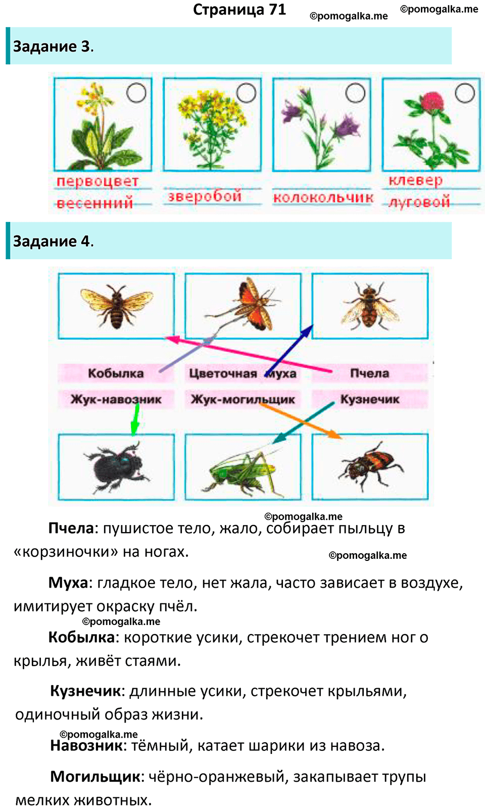 часть 1 страница 71 окружающий мир 4 класс Плешаков рабочая тетрадь 2024 год