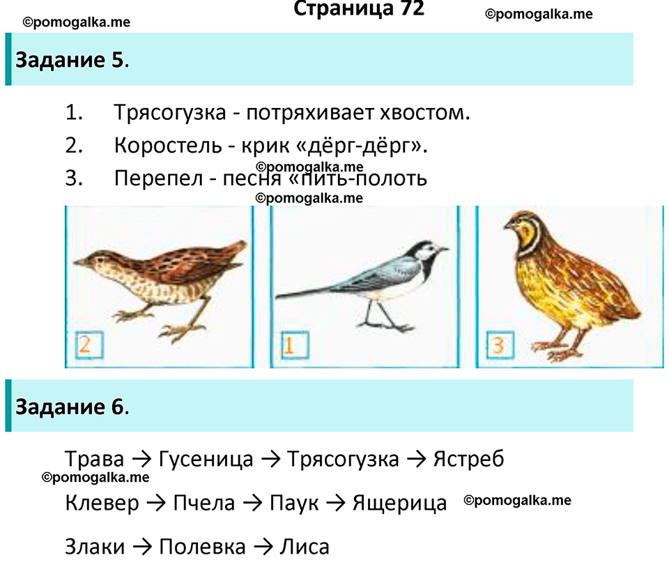 часть 1 страница 72 окружающий мир 4 класс Плешаков рабочая тетрадь 2024 год