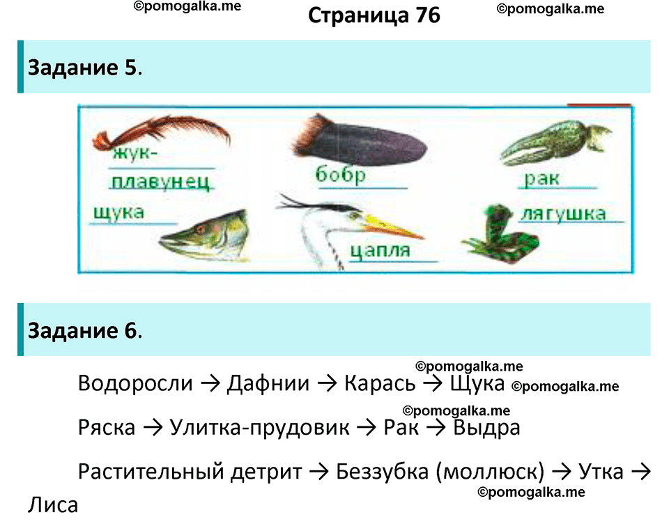 часть 1 страница 76 окружающий мир 4 класс Плешаков рабочая тетрадь 2024 год
