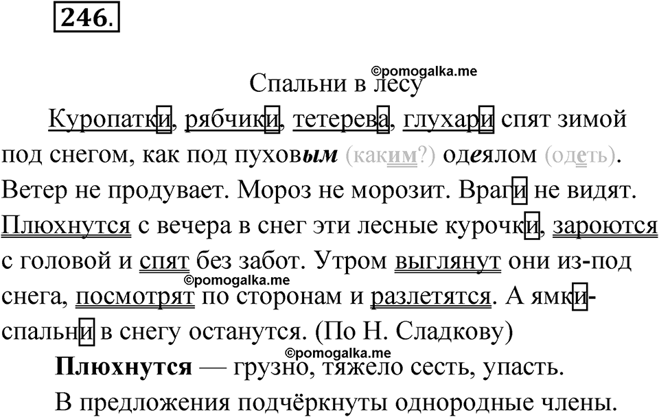 часть 1 страница 123 упражнение 246 русский язык 4 класс Рамзаева 2025