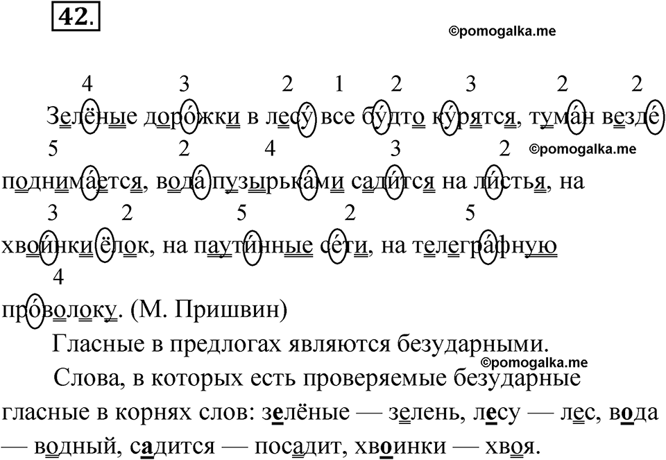 страница 34 упражнение 42 русский язык 5 класс Бондаренко рабочая тетрадь 1 часть 2024 год