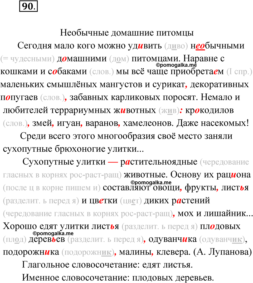 страница 58 упражнение 90 русский язык 5 класс Бондаренко рабочая тетрадь 2 часть 2024 год