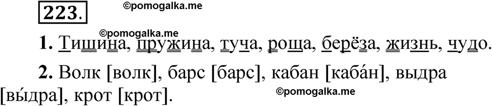 страница 171 упражнение 223 русский язык 5 класс Быстрова, Кибирева 1 часть 2021 год