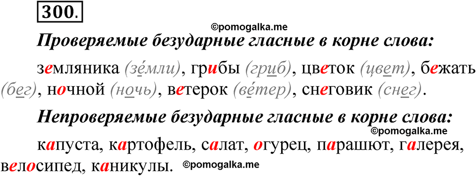 страница 219 упражнение 300 русский язык 5 класс Быстрова, Кибирева 1 часть 2021 год