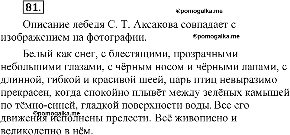 страница 64 упражнение 81 русский язык 5 класс Быстрова, Кибирева 1 часть 2021 год