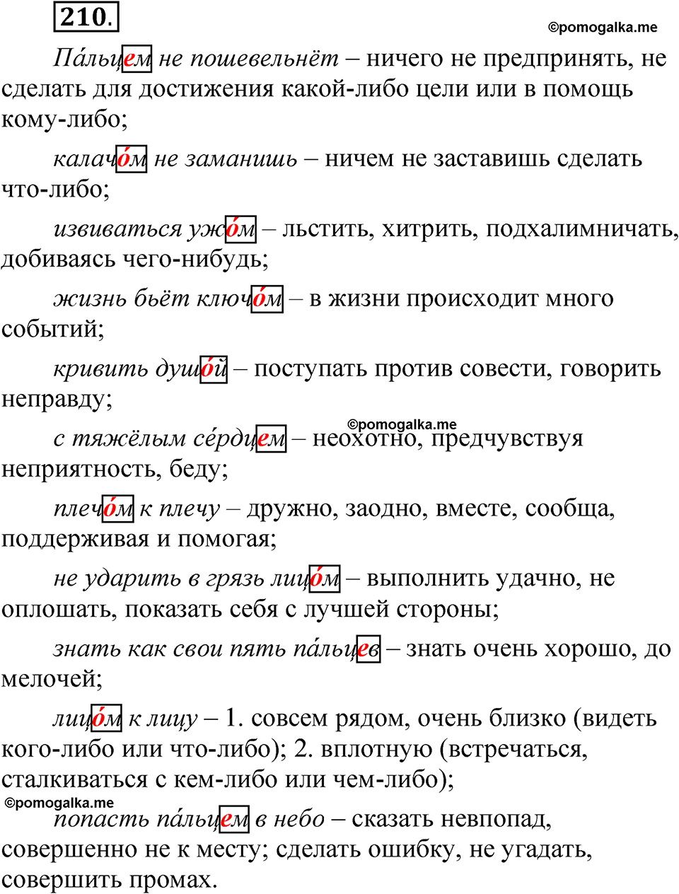 страница 143 упражнение 210 русский язык 5 класс Быстрова, Кибирева 2 часть 2021 год