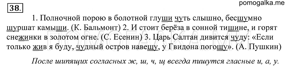 упражнение 38 русский язык 5 класс Купалова 2012 год