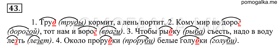 упражнение 43 русский язык 5 класс Купалова 2012 год