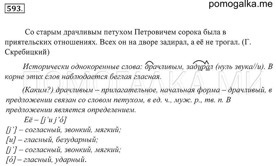 упражнение 593 русский язык 5 класс Купалова 2012 год