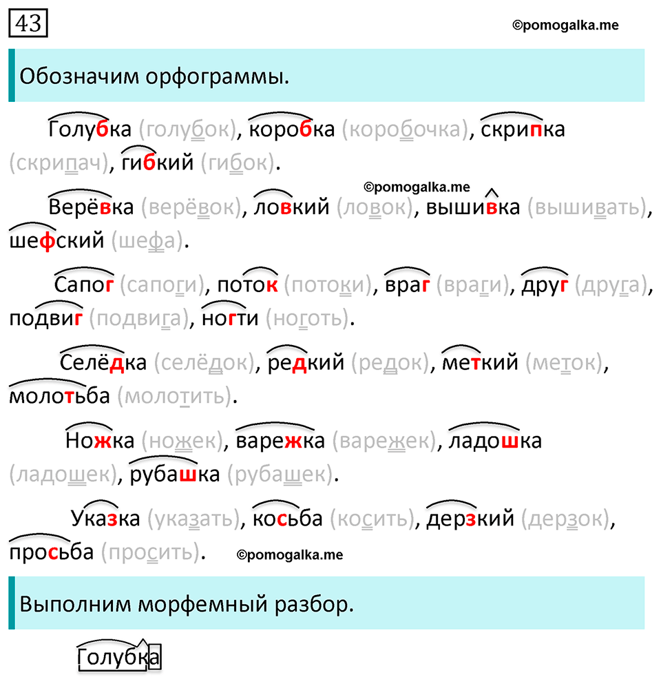 упражнение 43 русский язык 5 класс Ладыженская, Баранов, Тростенцова, Григорян 2020 год