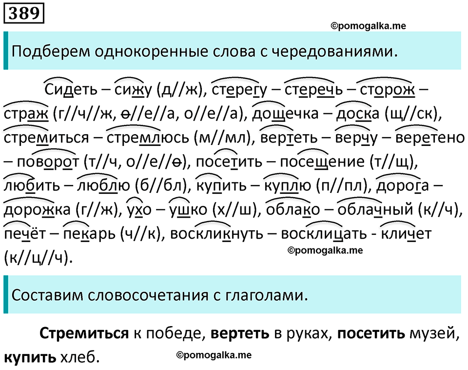 упражнение 389 русский язык 5 класс Ладыженская, Баранов 2023 год