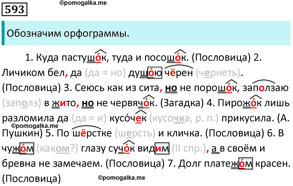 упражнение 593 русский язык 5 класс Ладыженская, Баранов 2023 год
