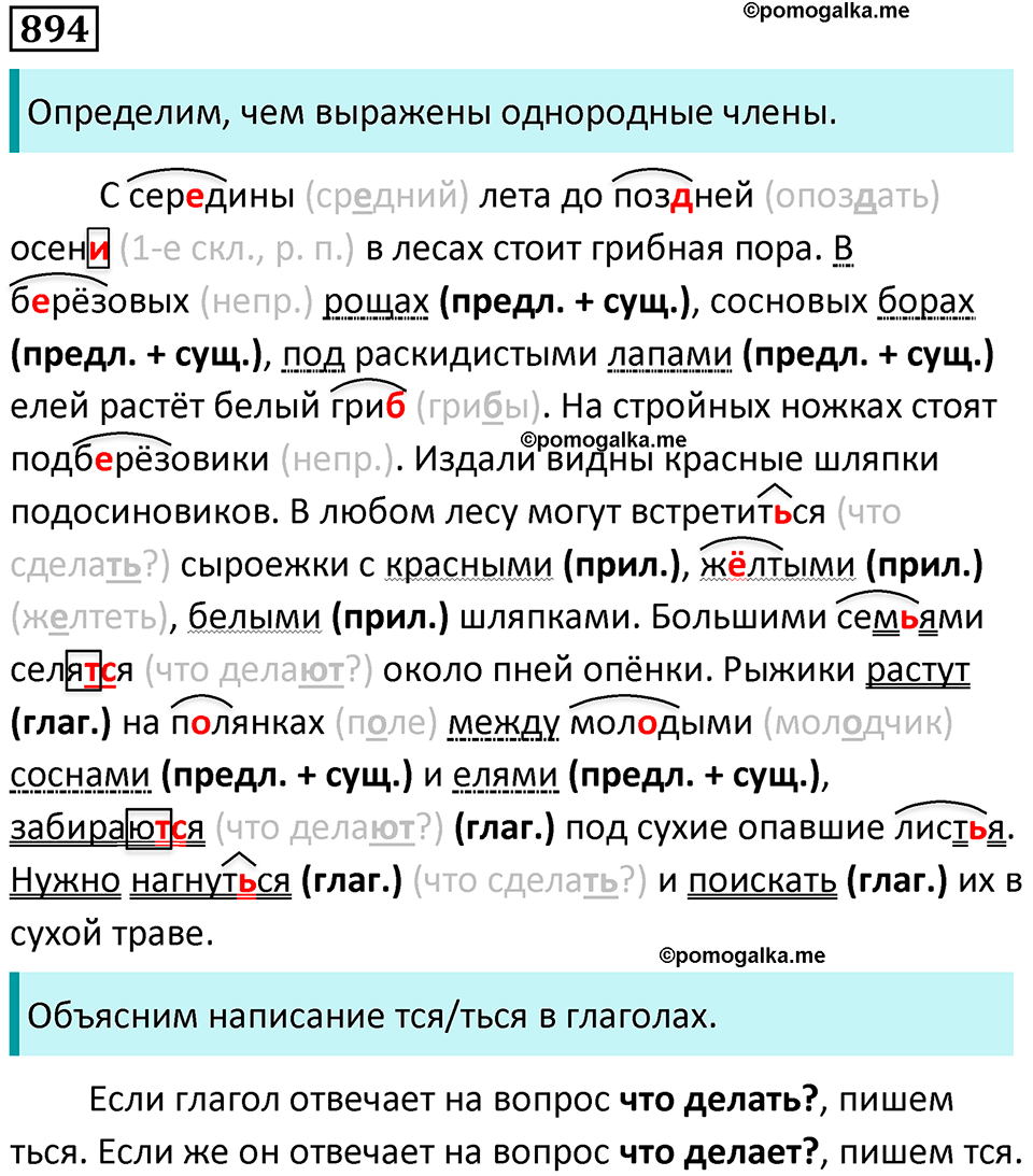 упражнение 894 русский язык 5 класс Ладыженская, Баранов 2023 год