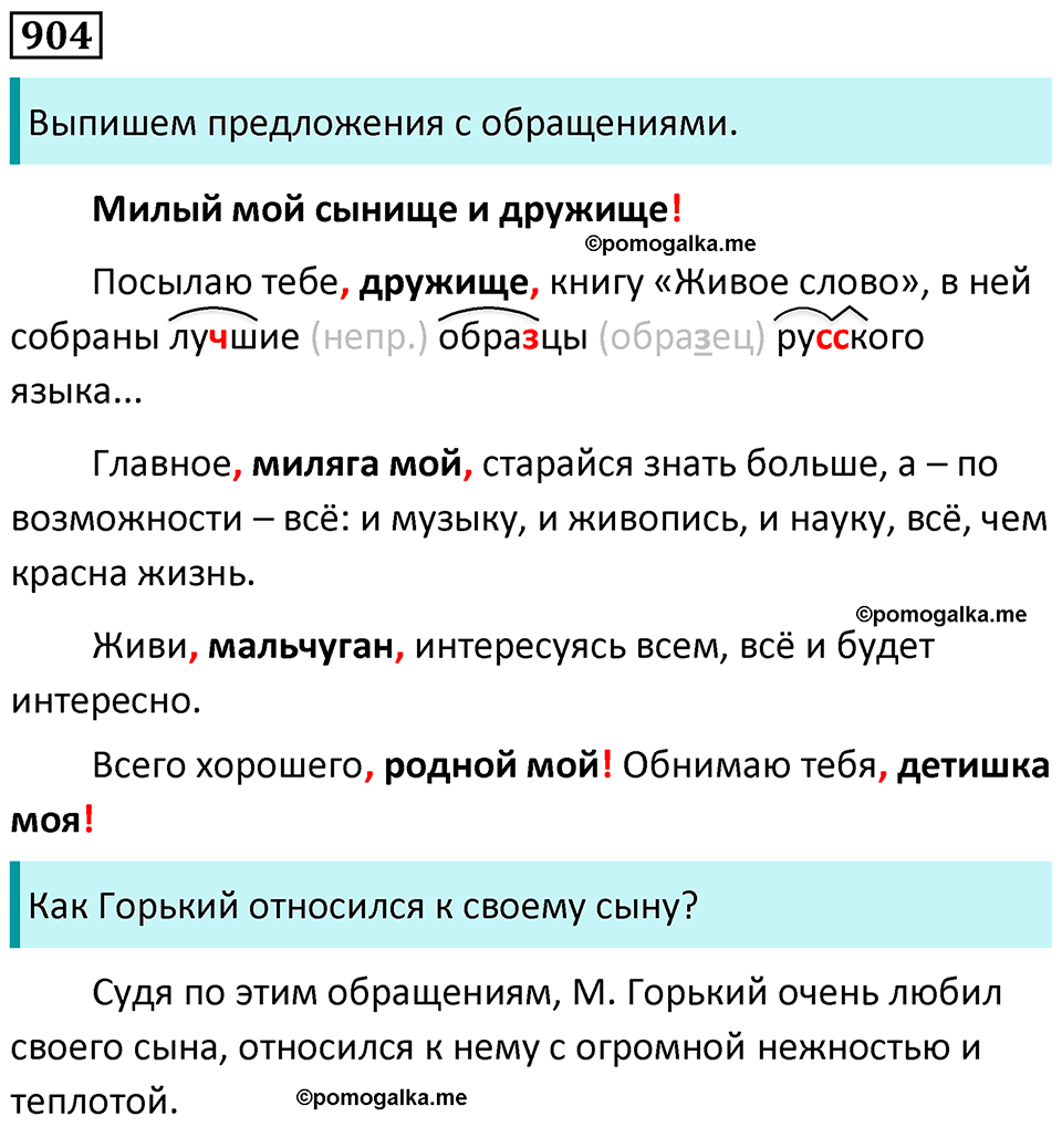 упражнение 904 русский язык 5 класс Ладыженская, Баранов 2023 год