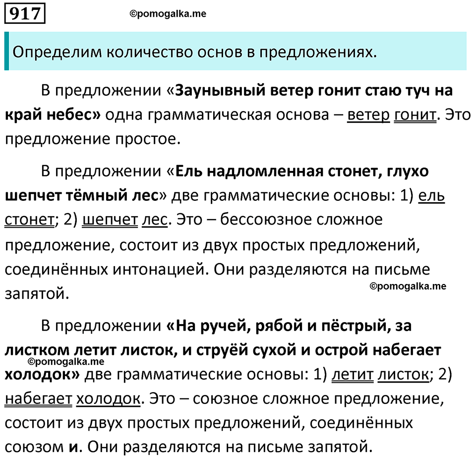 упражнение 917 русский язык 5 класс Ладыженская, Баранов 2023 год