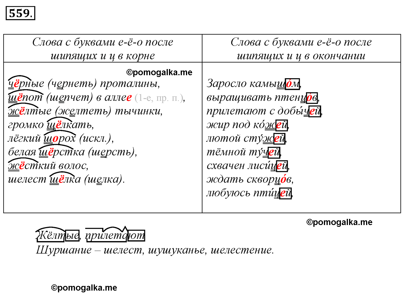 номер 559 русский язык 5 класс Ладыженская, Баранов, Тростенцова 2012 год