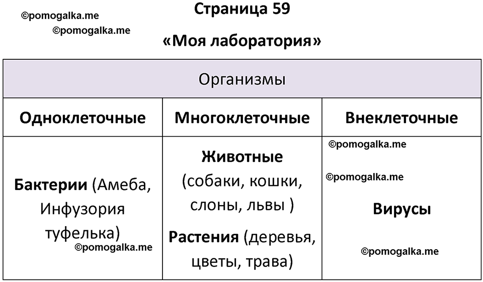 страница 59 биология 5 класс Пасечник, Суматохин учебник 2024 год