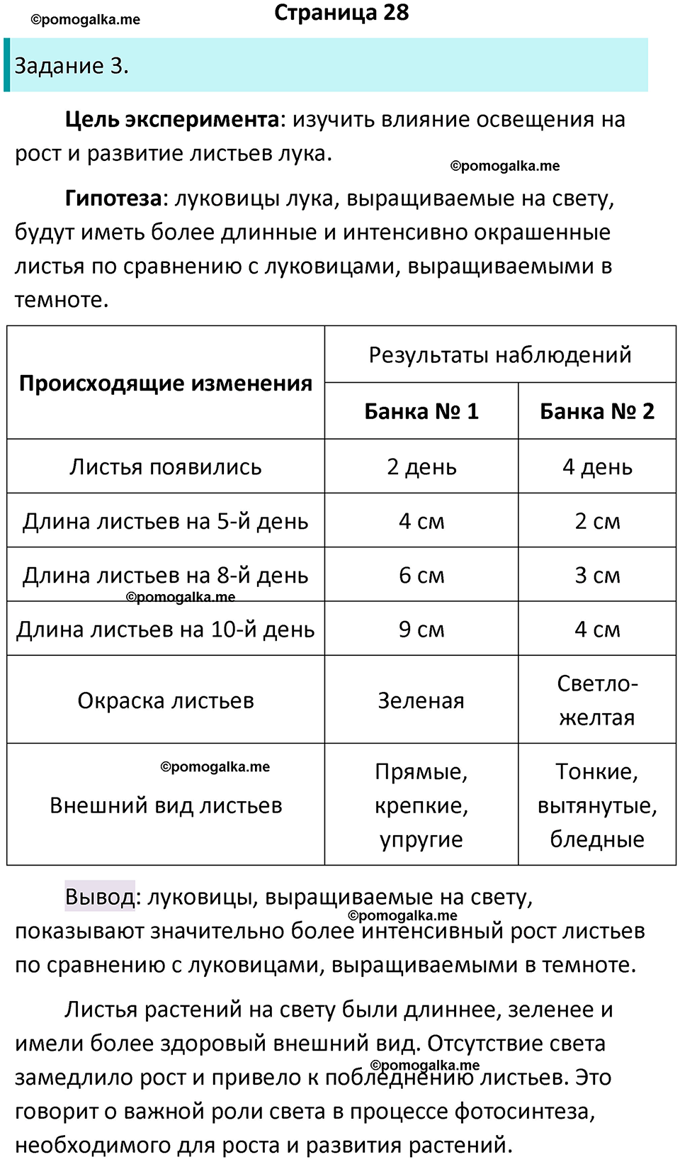 страница 28 биология 5 класс Пасечник, Суматохин рабочая тетрадь 2024 год