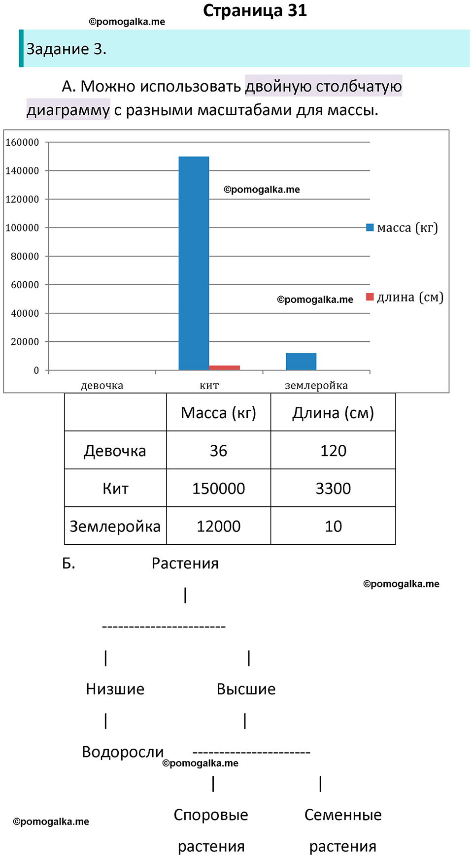 страница 31 биология 5 класс Пасечник, Суматохин рабочая тетрадь 2024 год