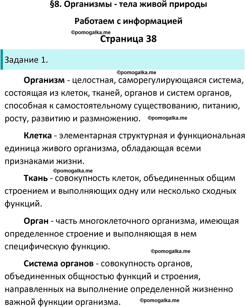страница 38 биология 5 класс Пасечник, Суматохин рабочая тетрадь 2024 год