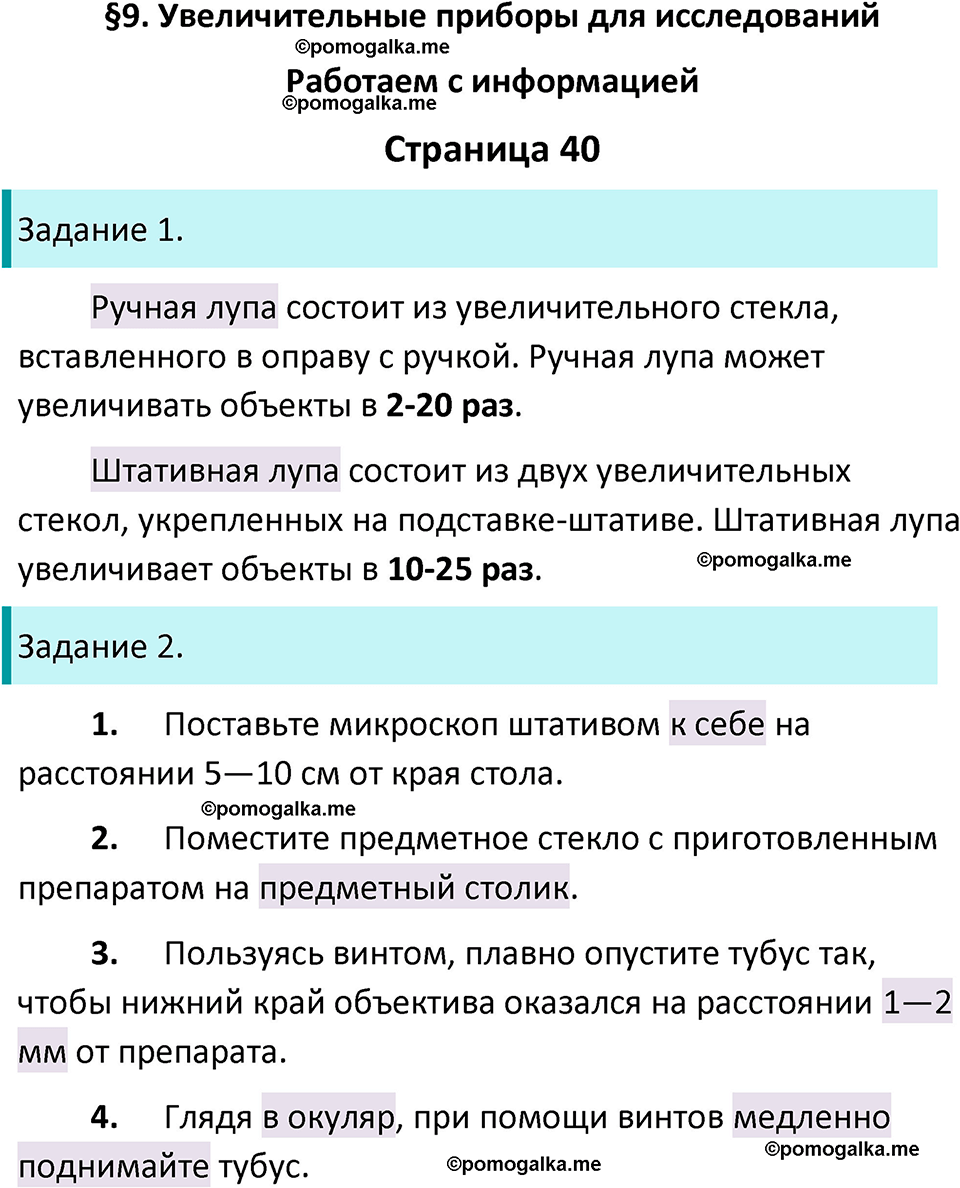 страница 40 биология 5 класс Пасечник, Суматохин рабочая тетрадь 2024 год