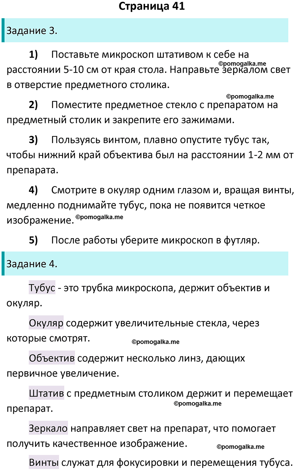 страница 41 биология 5 класс Пасечник, Суматохин рабочая тетрадь 2024 год