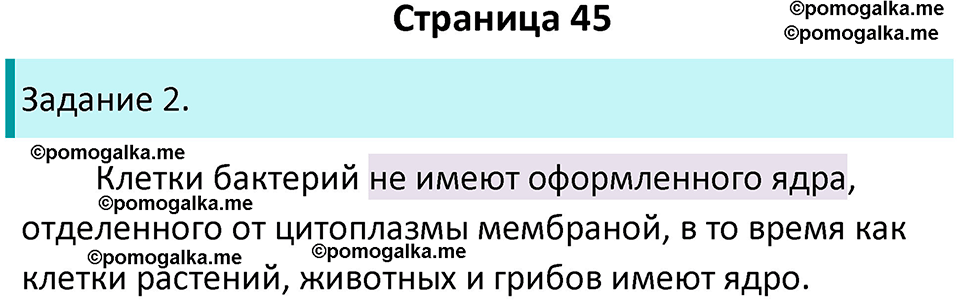 страница 45 биология 5 класс Пасечник, Суматохин рабочая тетрадь 2024 год