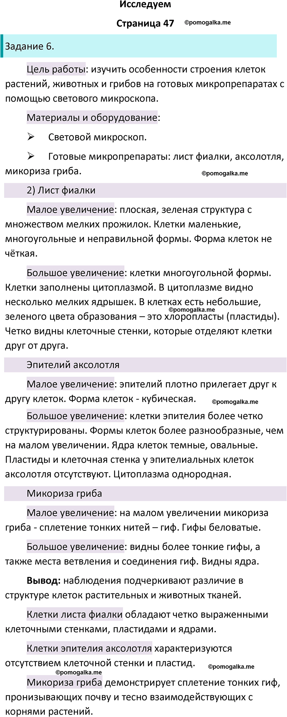 страница 47 биология 5 класс Пасечник, Суматохин рабочая тетрадь 2024 год