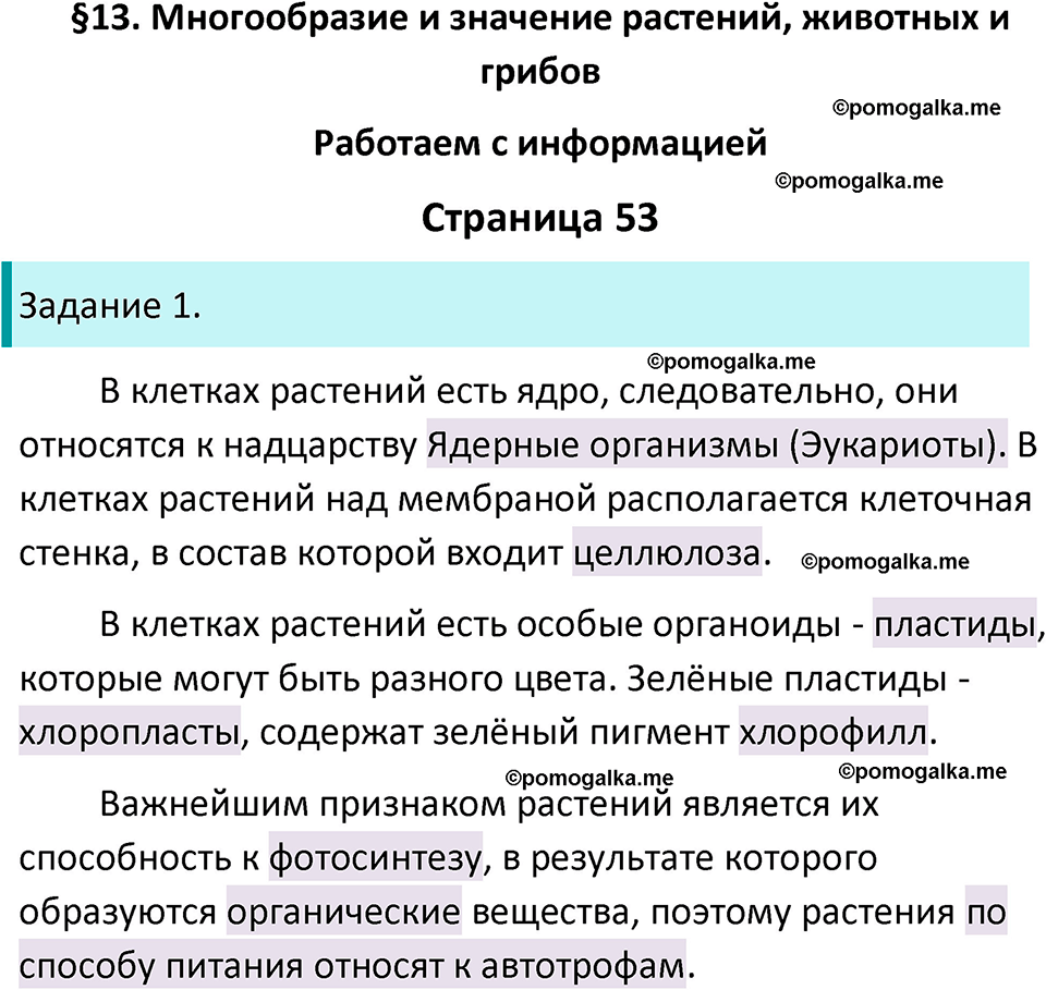страница 53 биология 5 класс Пасечник, Суматохин рабочая тетрадь 2024 год