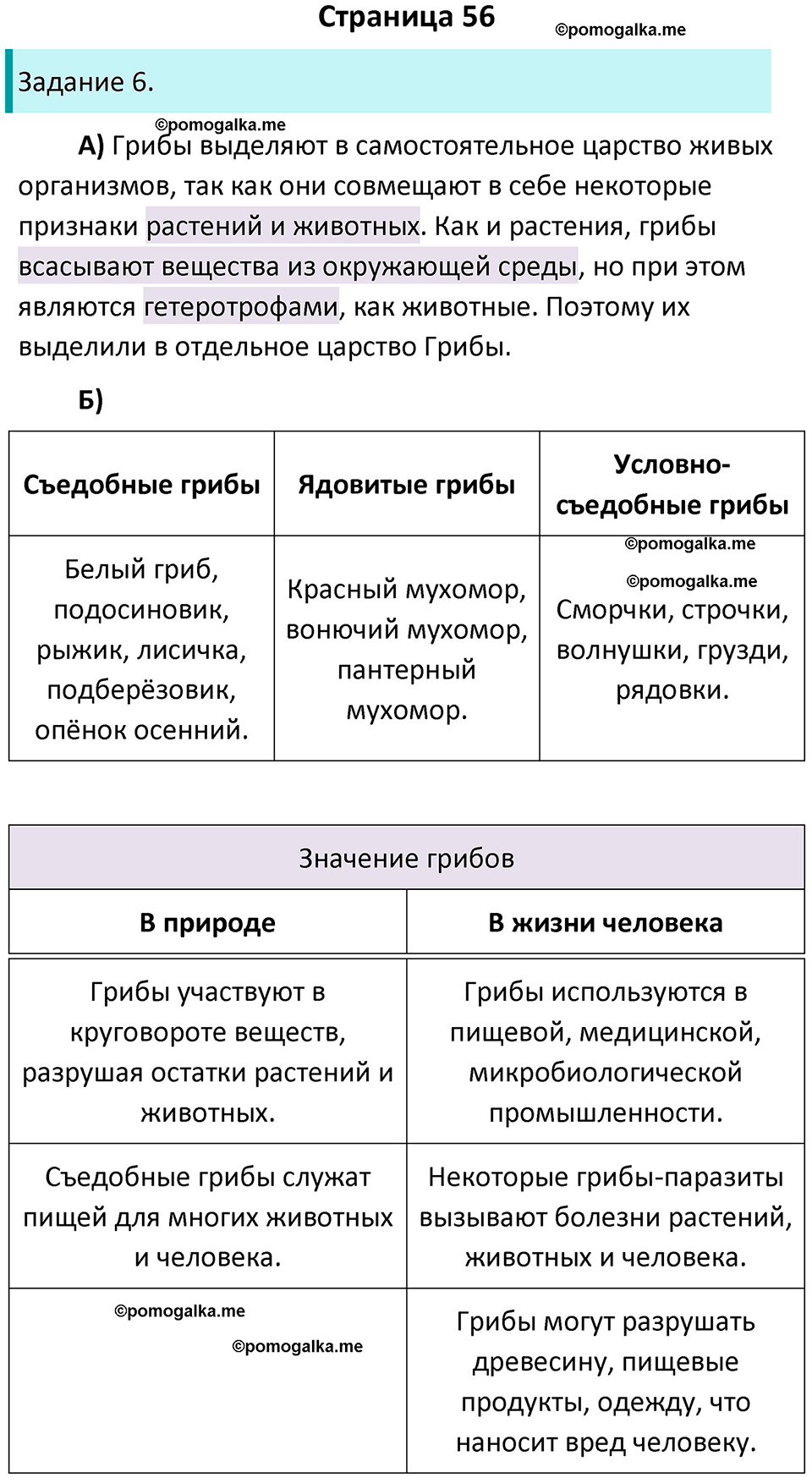страница 56 биология 5 класс Пасечник, Суматохин рабочая тетрадь 2024 год