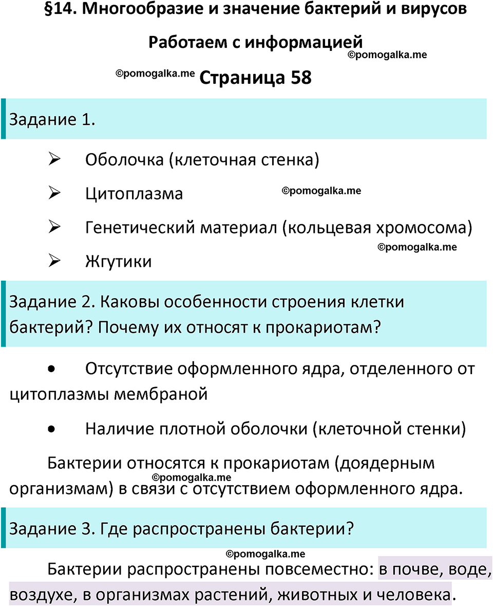 страница 58 биология 5 класс Пасечник, Суматохин рабочая тетрадь 2024 год