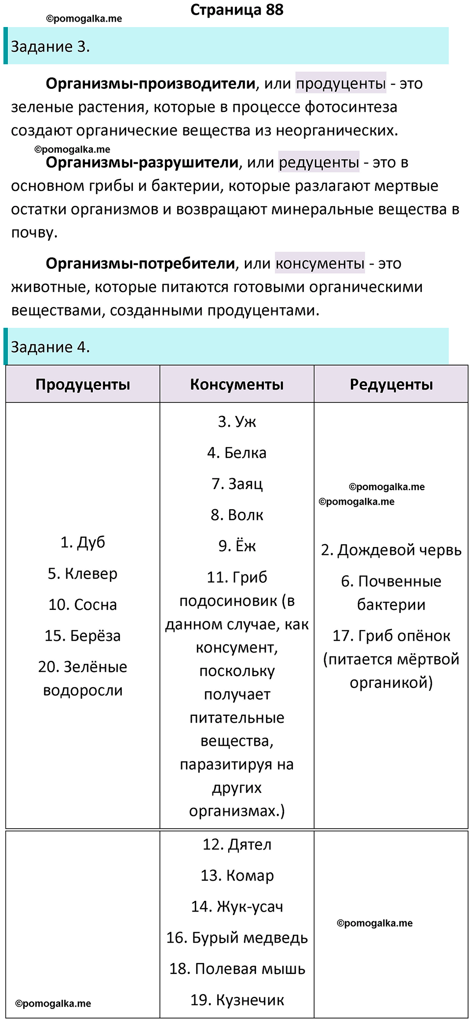 страница 88 биология 5 класс Пасечник, Суматохин рабочая тетрадь 2024 год
